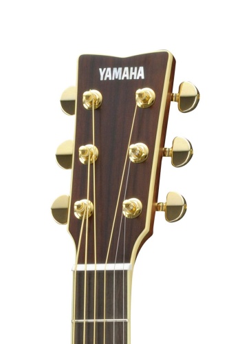 YAMAHA LL16M//ARE фото 4