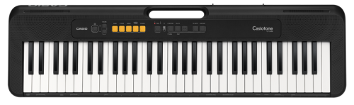 CASIO CT-S100C2, без адаптера