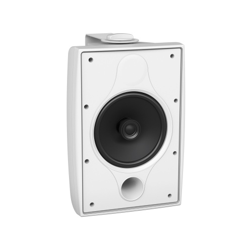 TANNOY DVS 6 WH фото 2